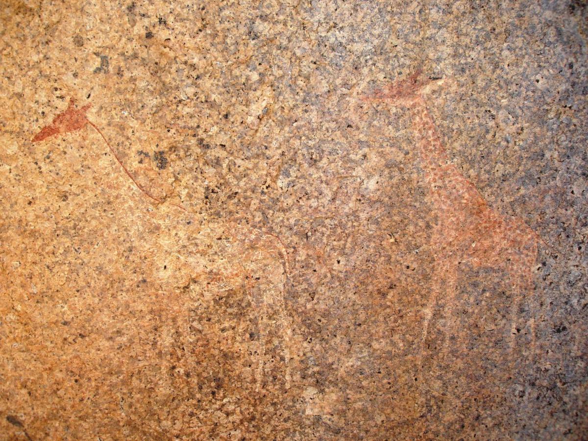 Ai Aiba - The Rock Painting Lodge 奥马鲁鲁 外观 照片